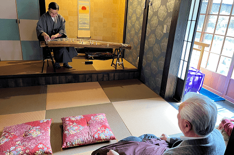 琴 プログラム 案内